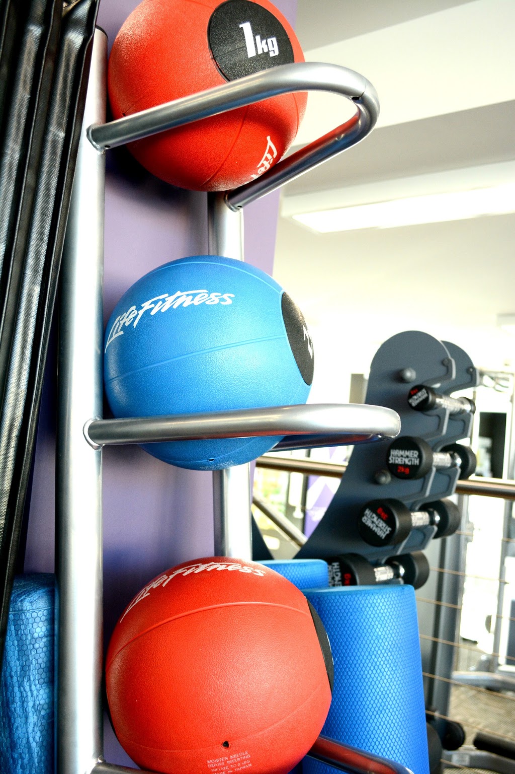 Anytime Fitness | gym | 599 High St, Kew VIC 3101, Australia | 0398594444 OR +61 3 9859 4444