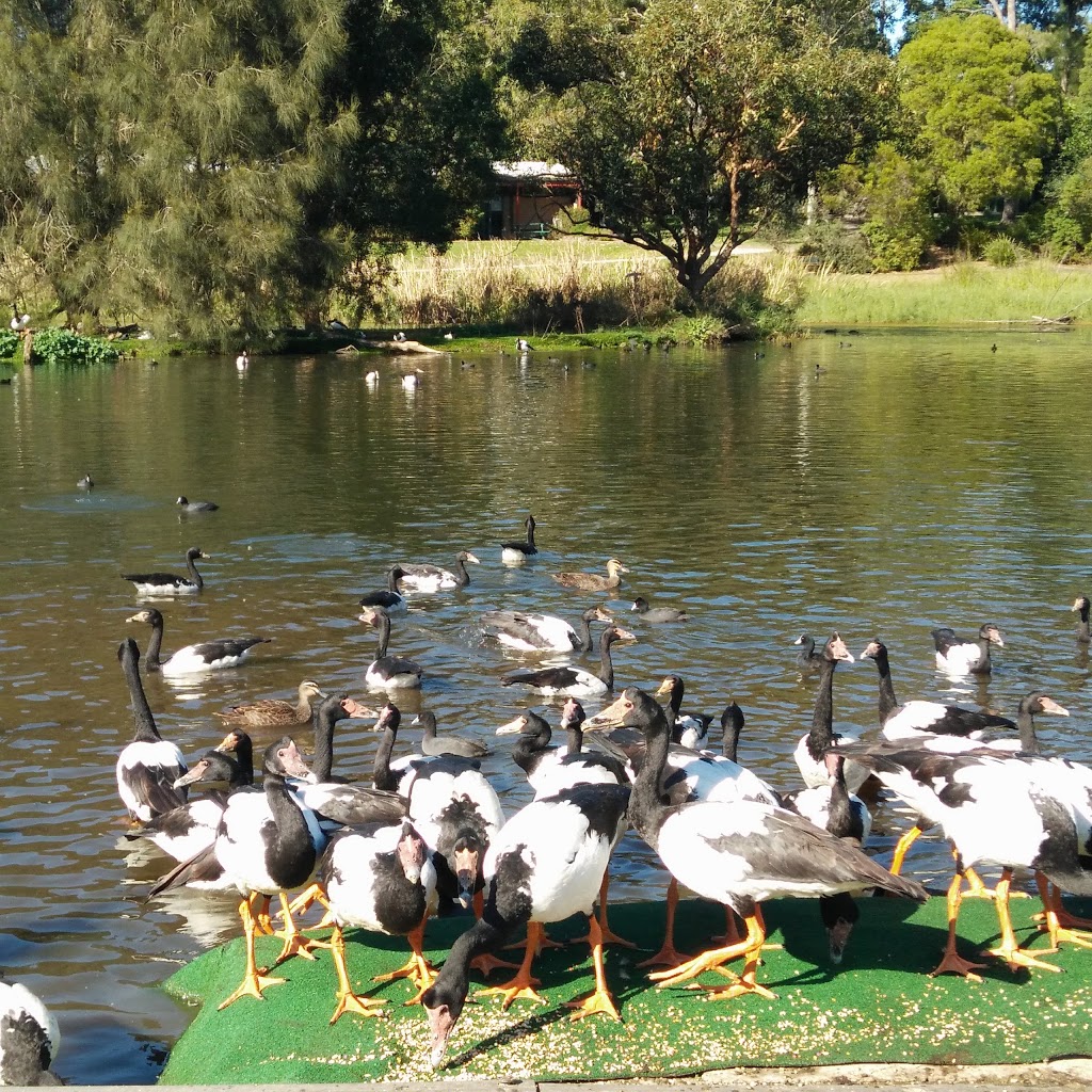 Hunter Wetlands Centre Australia | 1 Wetlands Pl, Shortland NSW 2307, Australia | Phone: (02) 4951 6466