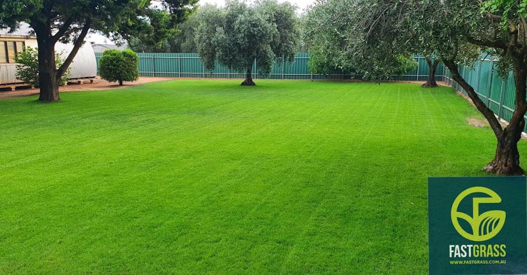 Fast Grass | Spray on Lawn Specialists | 1 Junction Rd, Littlehampton SA 5250, Australia | Phone: 0419 855 019