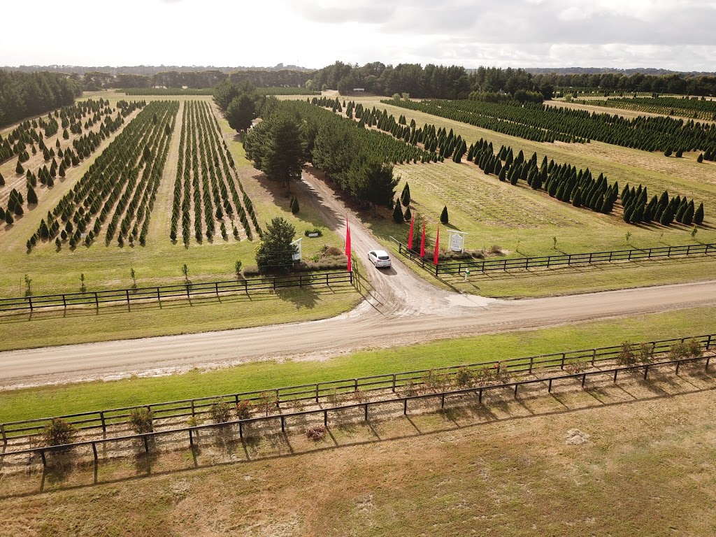 Christmas Tree Farm | 1680 Stumpy Gully Rd, Moorooduc VIC 3933, Australia | Phone: (03) 5977 5822