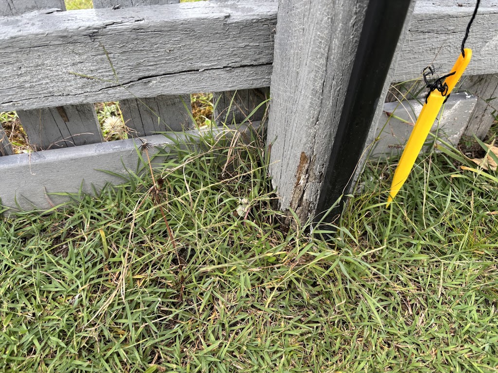 Clearzone Pest Management | 45 Fodora Pl, Burpengary East QLD 4505, Australia | Phone: 0413 521 610