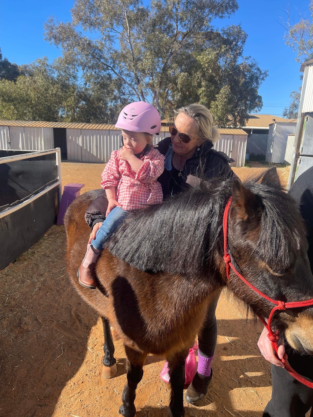 Breakthrough Education and Equine Academy | 379 Piccadilly St, West Lamington WA 6430, Australia | Phone: 0407 271 821