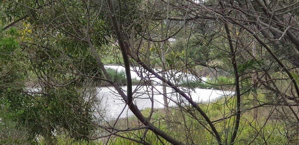 Brushy Creek Trail | park | 435 Maroondah Hwy, Croydon North VIC 3136, Australia