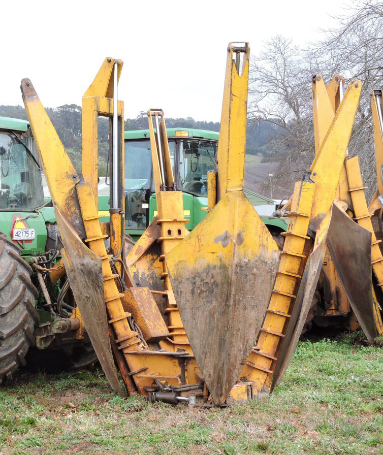 Established Tree Transplanters PTY Ltd. | 250 Wandin Creek Rd, Wandin East VIC 3139, Australia | Phone: (03) 5964 4240