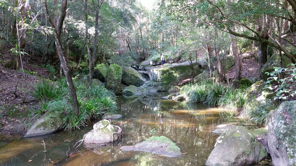Bell Bay Camping Area | campground | Ghinni Ghi NSW 2474, Australia