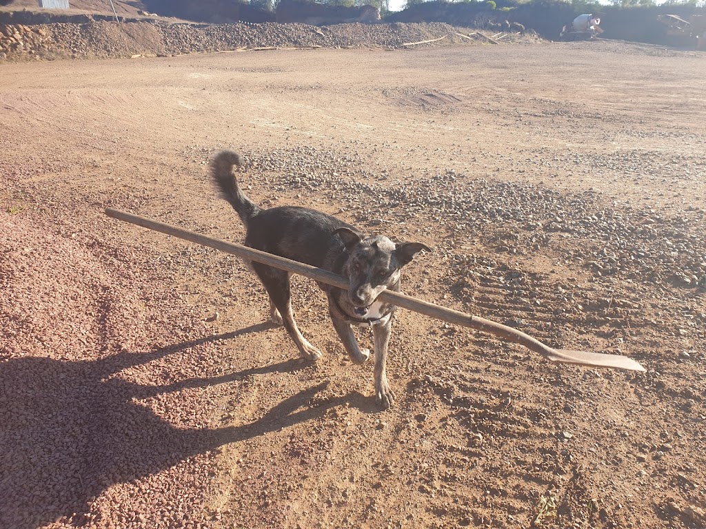 Russell Quarries & Transport | 119 Russells Rd, Pine Mountain QLD 4306, Australia | Phone: 0407 002 408