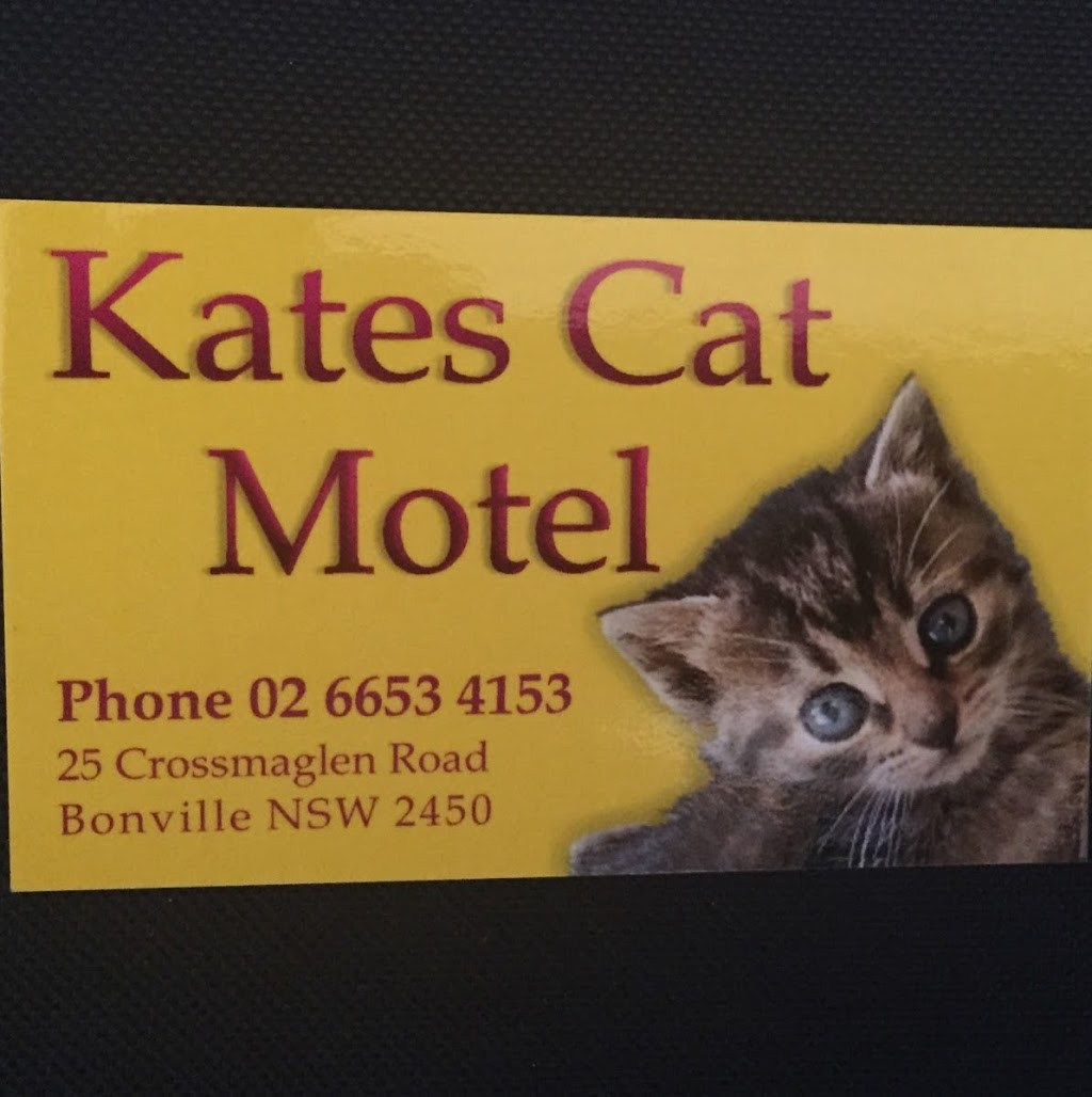 Kates Cat Motel | veterinary care | 25 Crossmaglen Rd, Bonville NSW 2441, Australia | 0266534153 OR +61 2 6653 4153