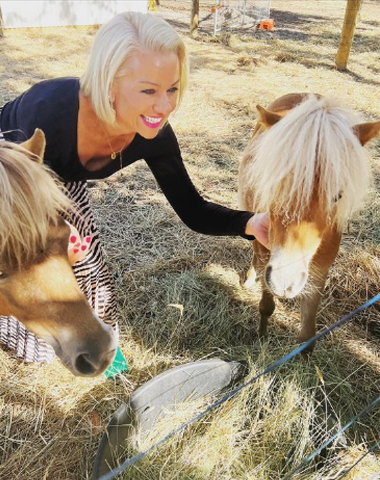 Paddock Talk - Equine Therapy Geelong and Bellarine | 130 Swan Bay Rd, Wallington VIC 3222, Australia | Phone: 0438 153 377