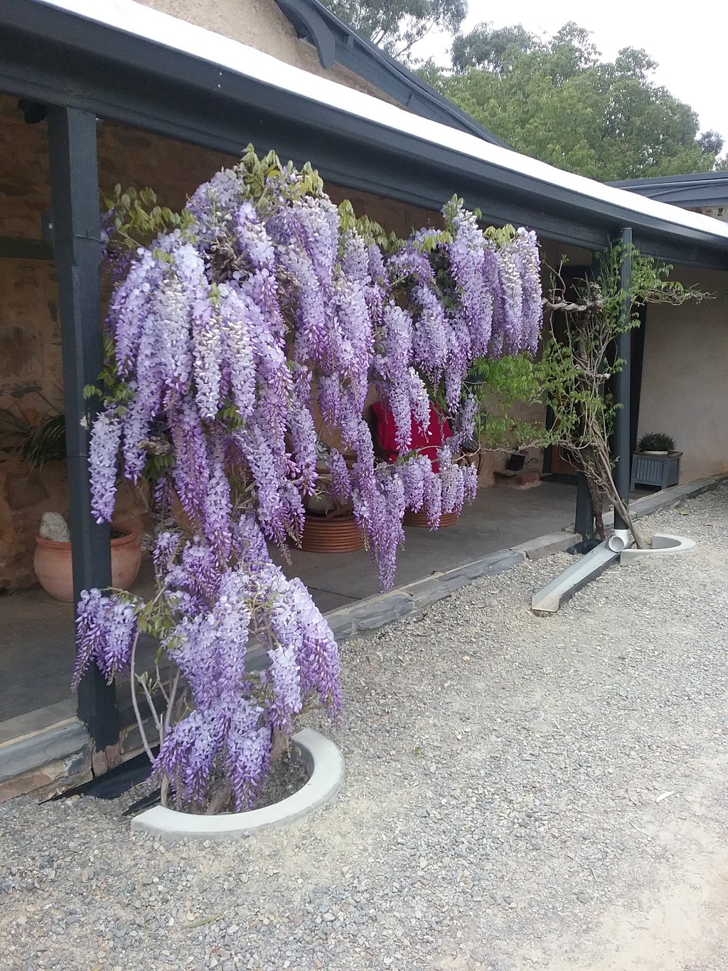 The Olde Lolly Shop B and B | Lot 351 Hill St, Mintaro SA 5415, Australia | Phone: (08) 8843 9229