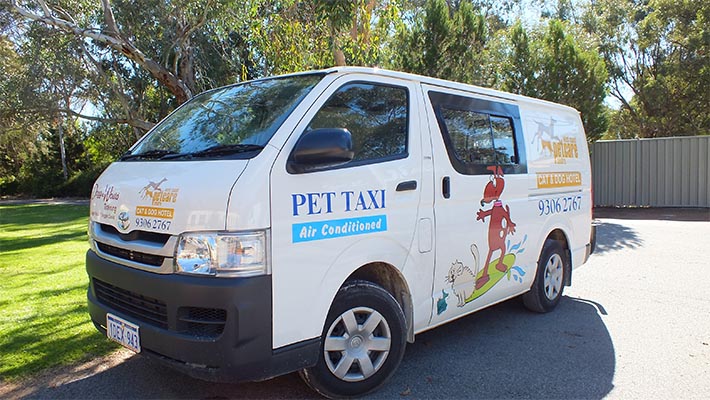 West Coast Pet Care – Pet Taxi Pickup North Perth ???????????? | North Perth Vet Centre, 213 Walcott St, Mount Lawley WA 6050, Australia | Phone: (08) 9306 2767