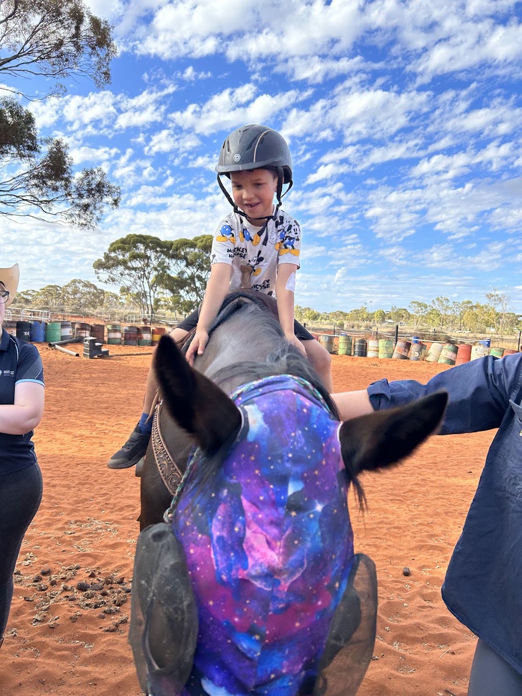 Breakthrough Education and Equine Academy | 379 Piccadilly St, West Lamington WA 6430, Australia | Phone: 0407 271 821