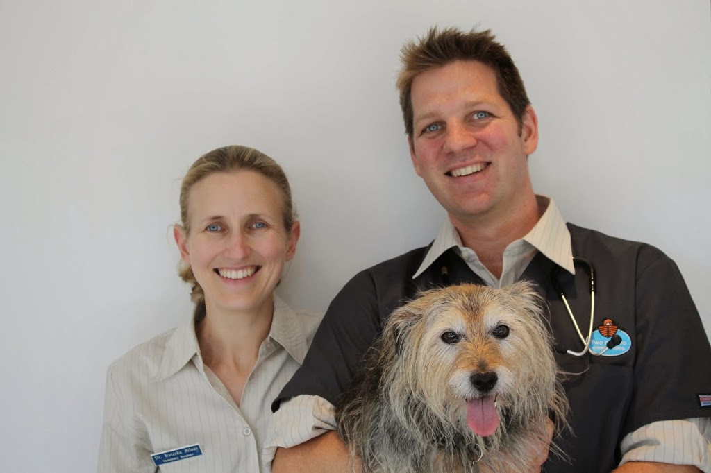 Two by Two Veterinary Hospital | veterinary care | 1/14 Roseberry St, Balgowlah NSW 2093, Australia | 0299078106 OR +61 2 9907 8106
