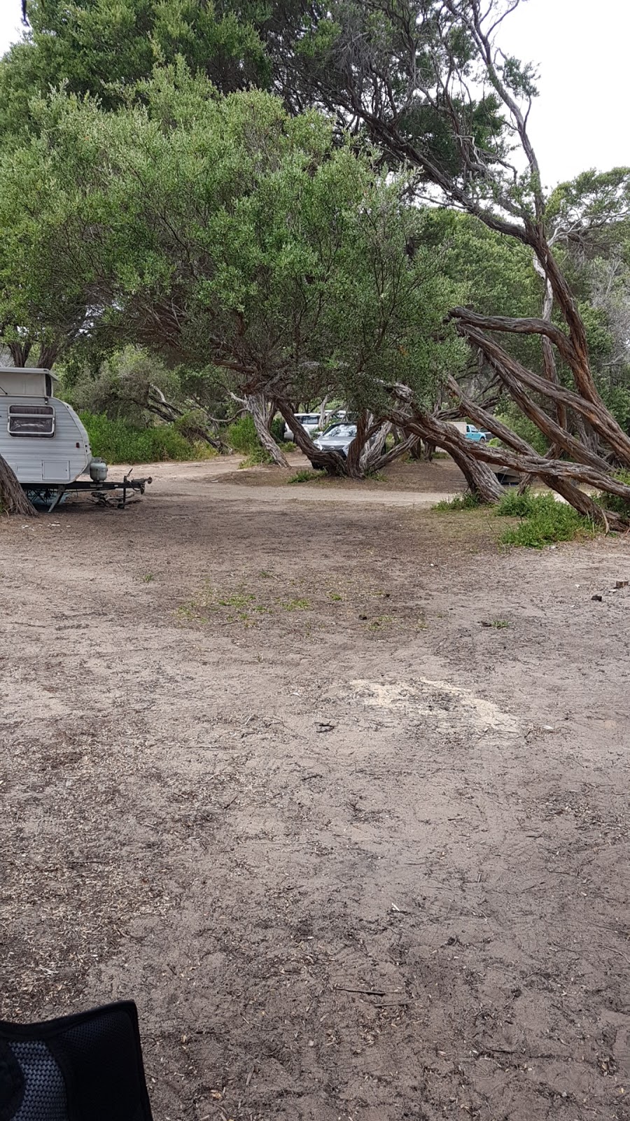 Campsite 18 | campground | 2151 Shoreline Dr, The Honeysuckles VIC 3851, Australia