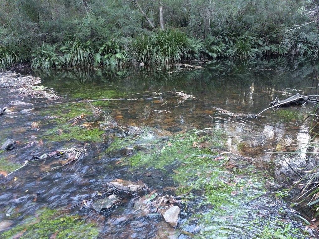 Corn Trail Walking Track Trail head | park | Old River Rd, Monga NSW 2622, Australia