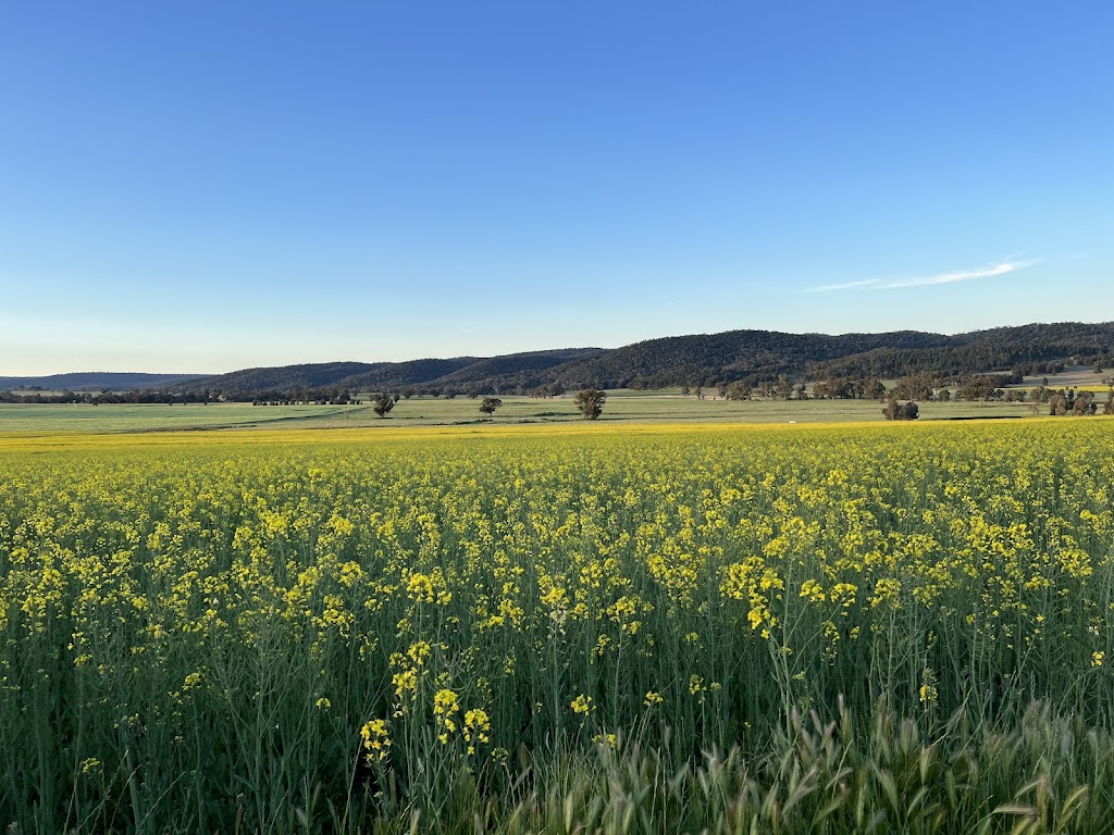 The Stables Farmhouse | 1004 Amaroo Way, Eugowra NSW 2806, Australia | Phone: 0438 159 200