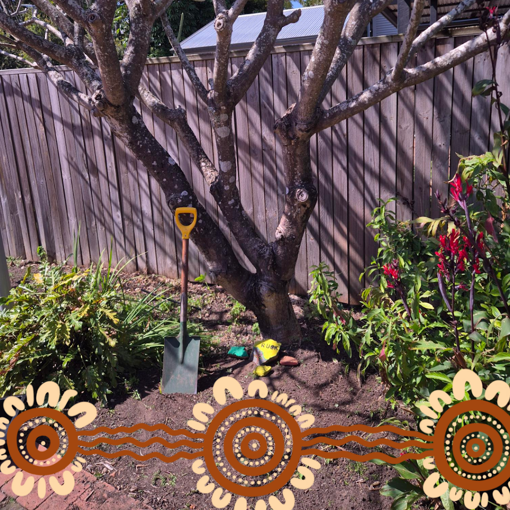talent.ed Custom Employment Pathways by Caringa | on Bundjalung Country, 7 Orara St, Grafton NSW 2460, Australia | Phone: (02) 6640 9300