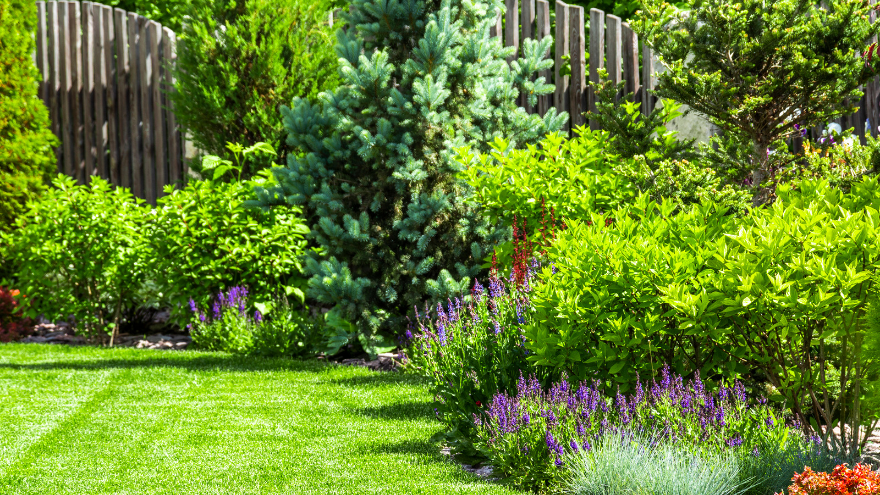 Saunders Affordable Lawn Services | 49 Helensvale Rd, Helensvale QLD 4212, Australia | Phone: 0401 257 118