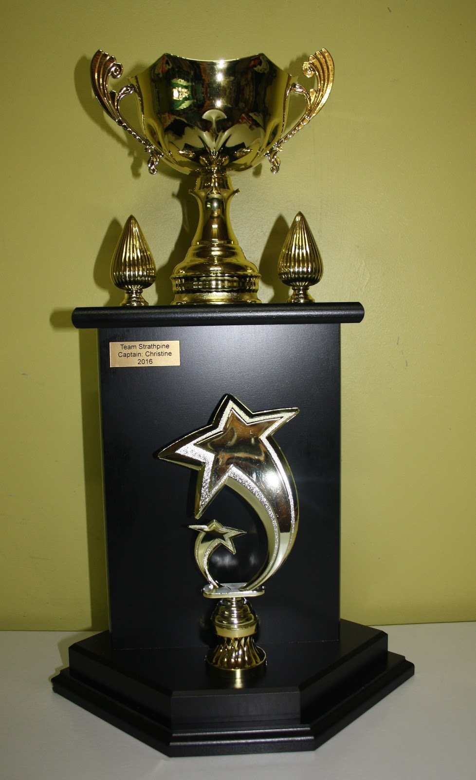 Gold Star Trophies | 256 Leitchs Rd, Brendale QLD 4500, Australia | Phone: 0403 150 857