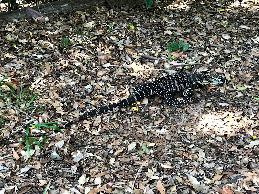 Sea Acres National Park | Port Macquarie NSW 2444, Australia