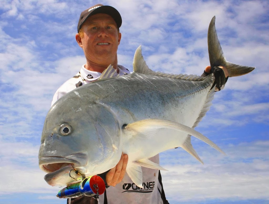 Elite Tackle | store | 9 Teague Terrace, Cannonvale QLD 4802, Australia | 0412548501 OR +61 412 548 501