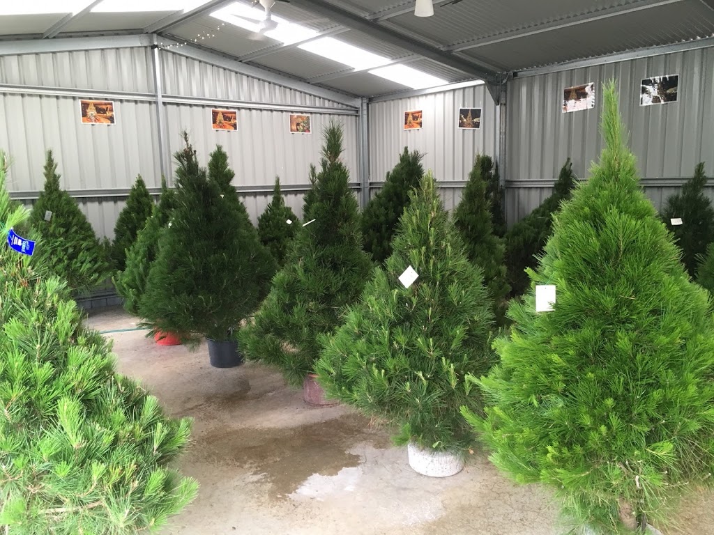 Christmas Tree Plantation |  | 160 Clarendon Rd, Clarendon SA 5157, Australia | 0434519839 OR +61 434 519 839