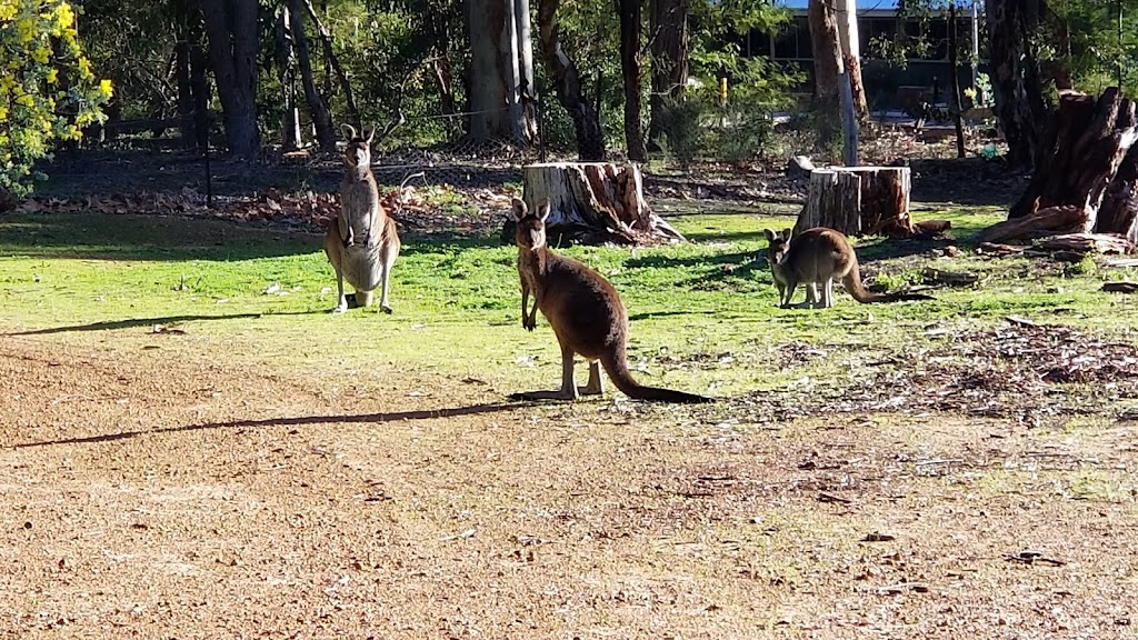 Perth Hills Discovery Centre | 380 Allen Rd, Mundaring WA 6073, Australia | Phone: (08) 9295 2244