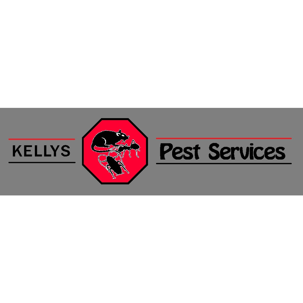 Kellys Pest Services | home goods store | 2 Lake St, Fassifern NSW 2283, Australia | 0478927044 OR +61 478 927 044