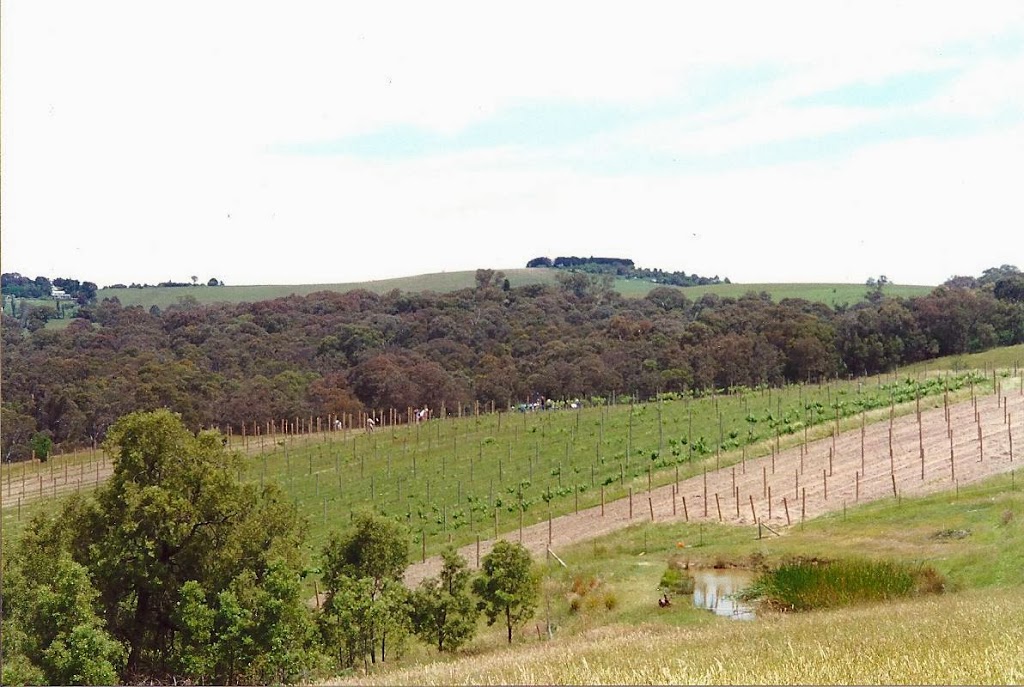 Watsons Creek Wines | 80 Kings Rd, Kangaroo Ground VIC 3097, Australia | Phone: (03) 9712 0344