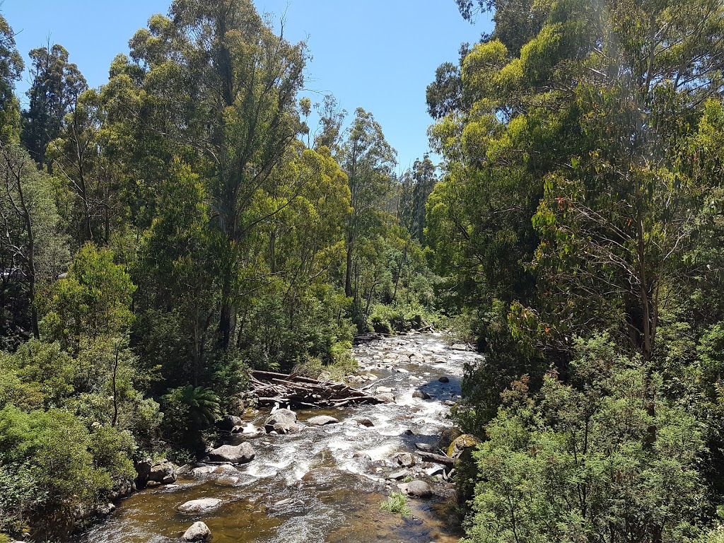 Falls Creek Falls | Bogong High Plains Rd, Bogong VIC 3699, Australia