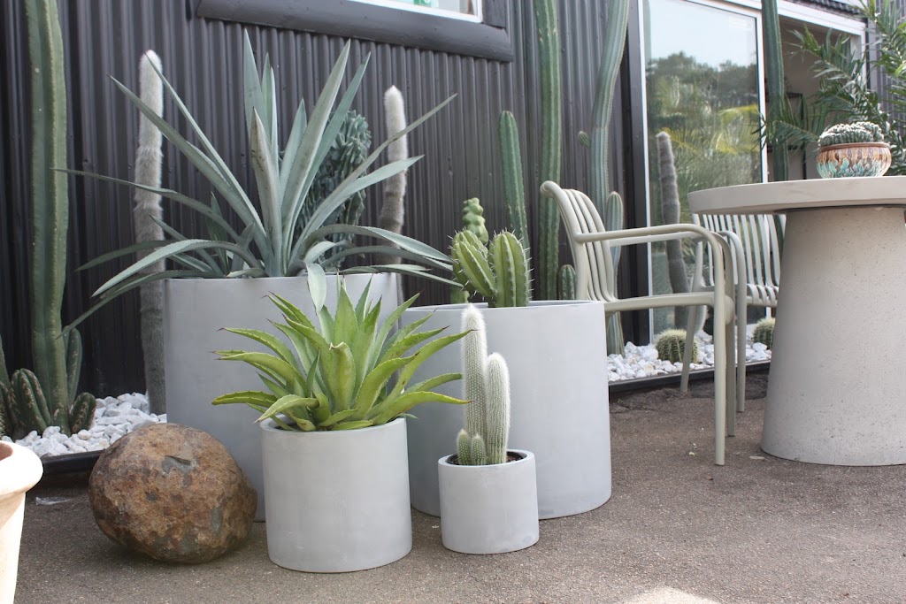 Project Pots | 11b/30-32 Barcoo St, Roseville NSW 2069, Australia | Phone: 0405 338 353
