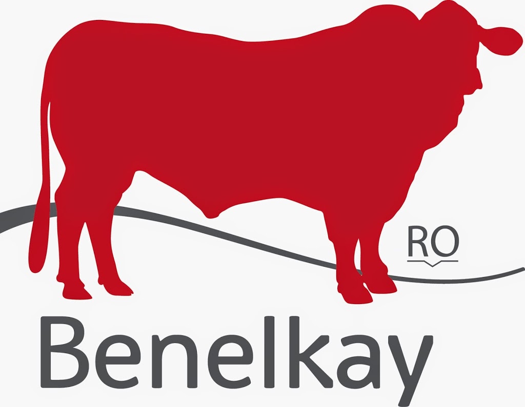 Benelkay Santa Gertrudis Stud | Keechs Rd, Goolhi NSW 2379, Australia | Phone: 0427 435 201