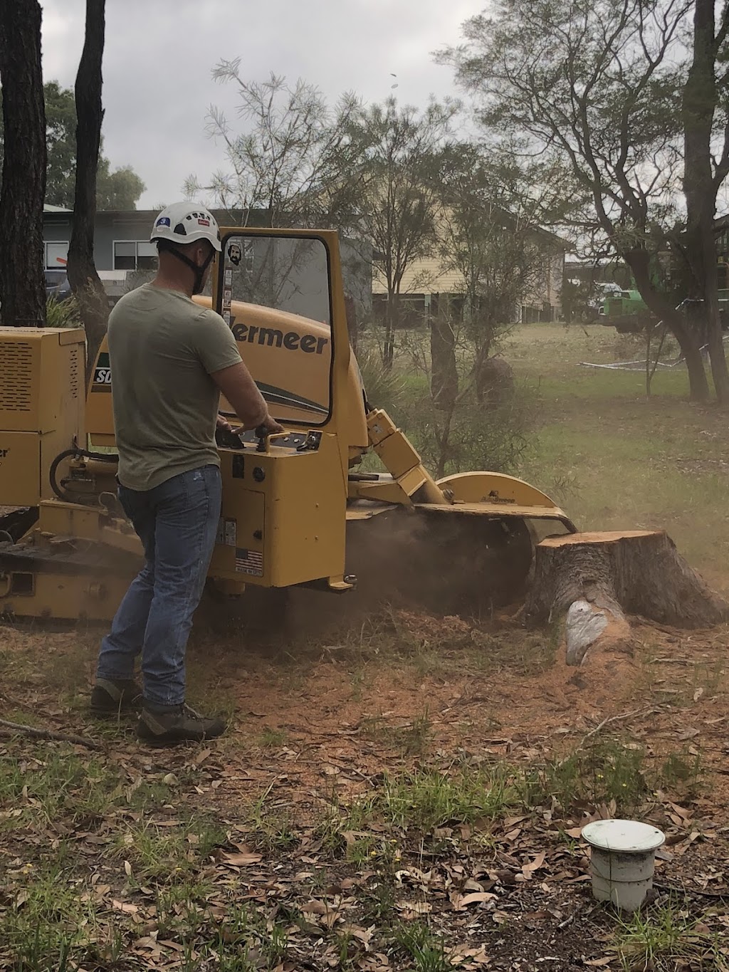 Highlands hedging and tree care | Sydney St, New Berrima NSW 2577, Australia | Phone: 0402 210 862