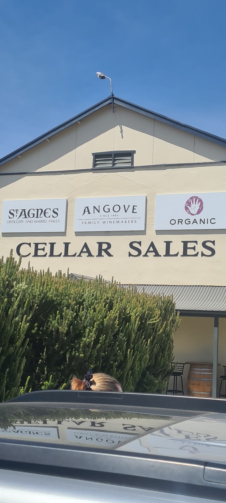 Angove Family Winemakers | tourist attraction | 271 Bookmark Ave, Renmark South SA 5341, Australia | 0885803100 OR +61 8 8580 3100
