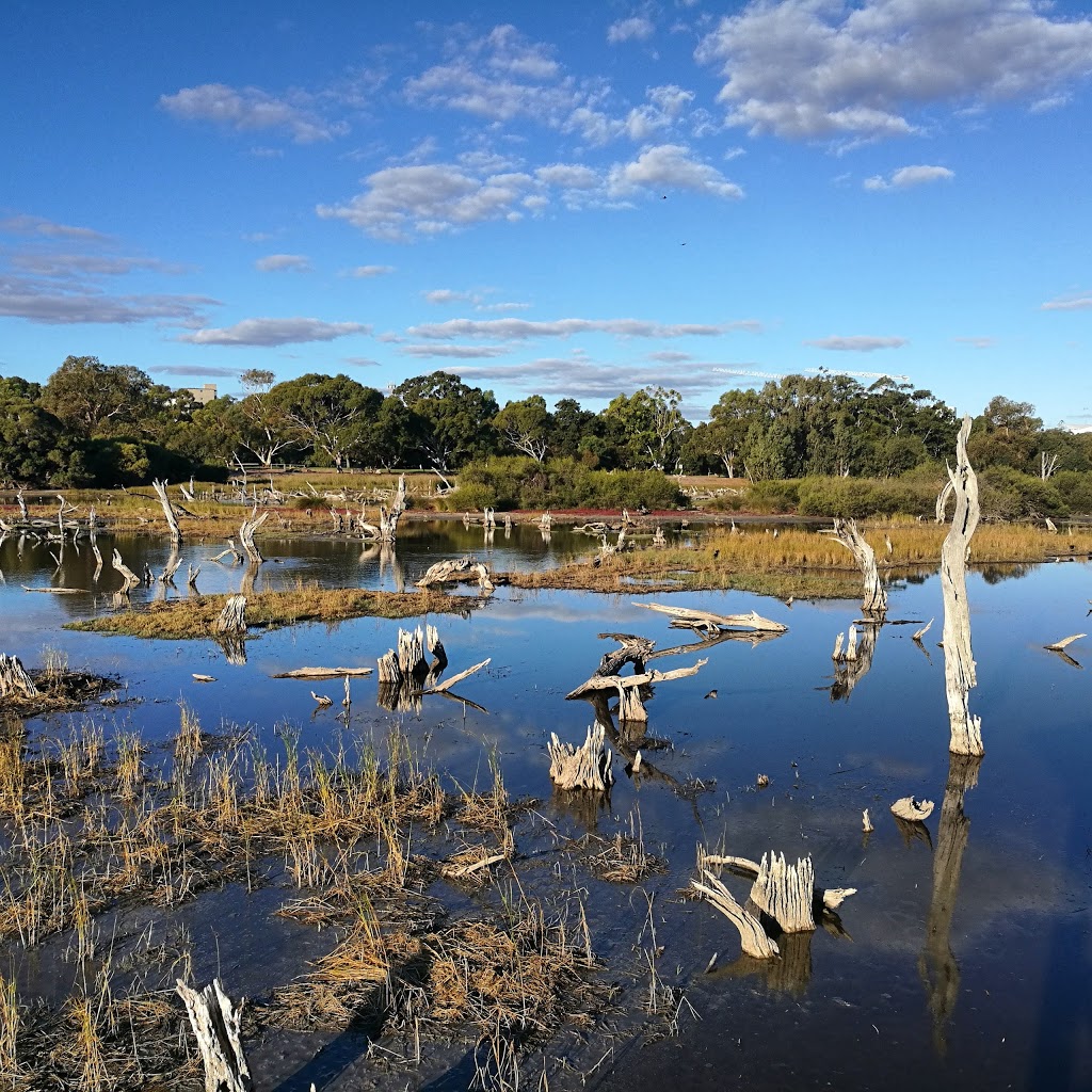 Lake Claremont | Lakeway St, Claremont WA 6010, Australia