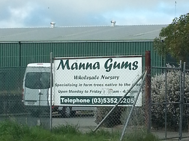 Manna Gums Wholesale Nursery | 24 Gordon St, Ararat VIC 3377, Australia | Phone: (03) 5352 5205