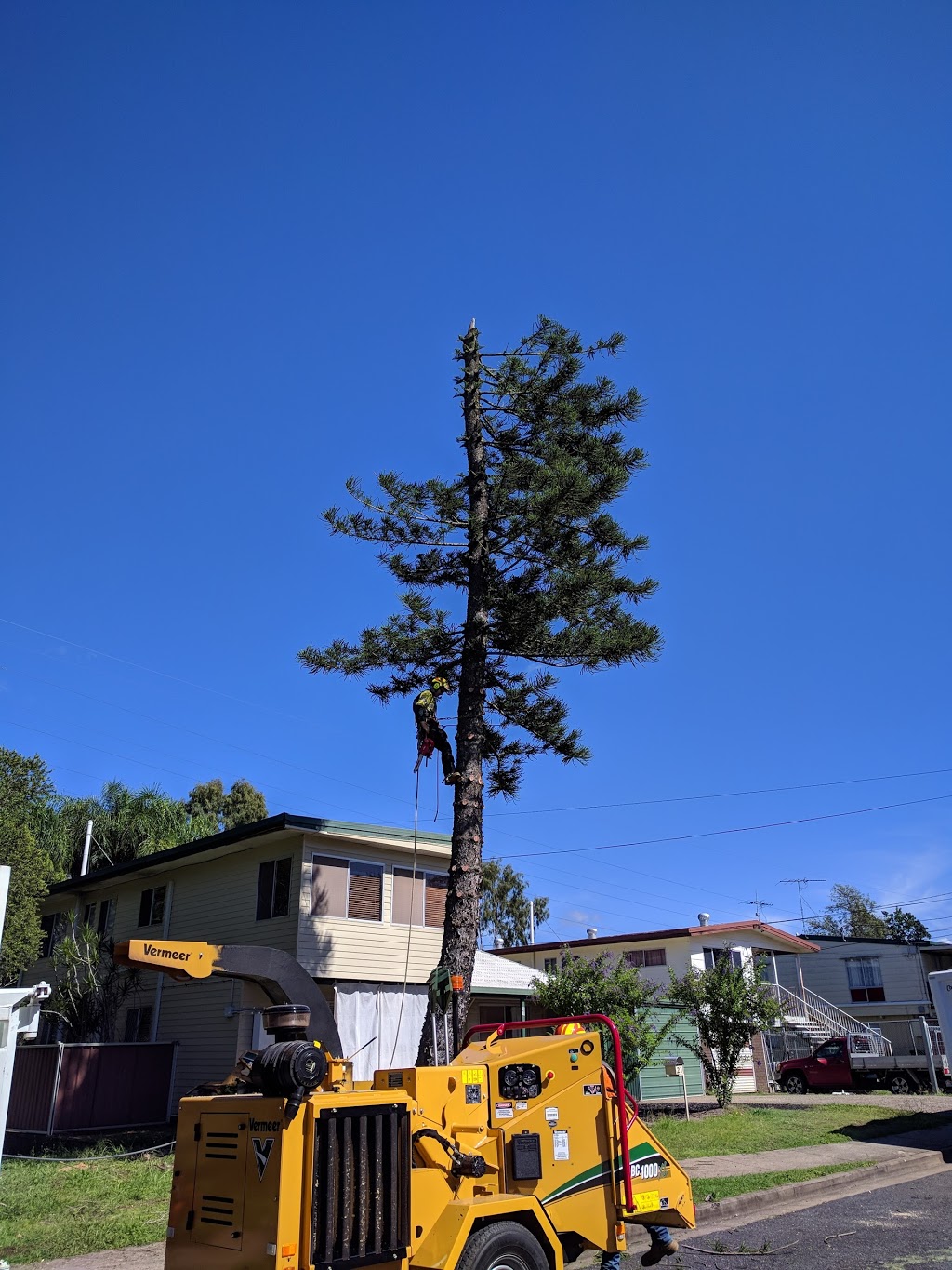 BTLC Tree Lopping |  | 215 Missigs Rd, Haigslea QLD 4306, Australia | 0420252194 OR +61 420 252 194