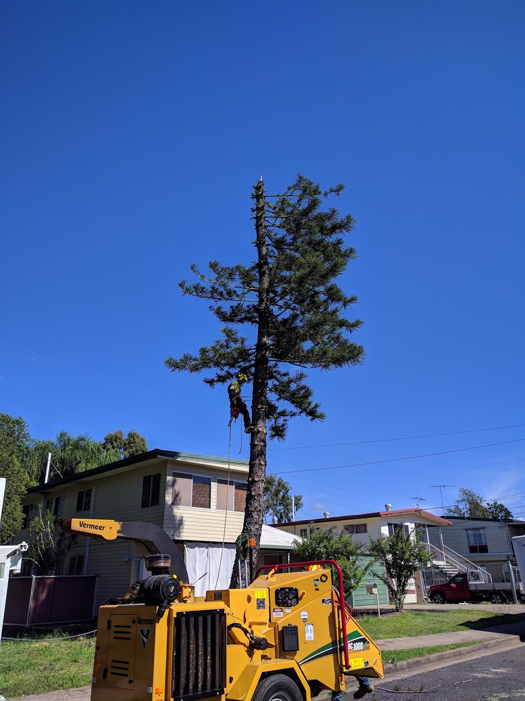 BTLC Tree Lopping | 215 Missigs Rd, Haigslea QLD 4306, Australia | Phone: 0420 252 194