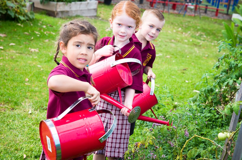 Holy Name Primary School | school | 41 Lake St, Forster NSW 2428, Australia | 0265546504 OR +61 2 6554 6504