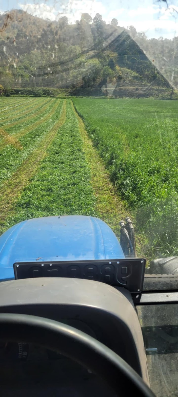 Last Straw Hay Sales | 396 E Haldon Rd, East Haldon QLD 4343, Australia | Phone: 0478 092 561