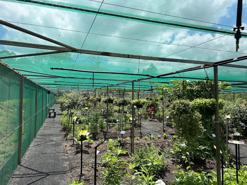 The Garden of Eden Grantham | F53F+J4, Grantham QLD 4347, Australia | Phone: 0409 491 419