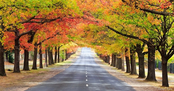 Ranges Legal Pty Ltd | 3A Market St, Kyneton VIC 3444, Australia | Phone: (03) 5326 1775