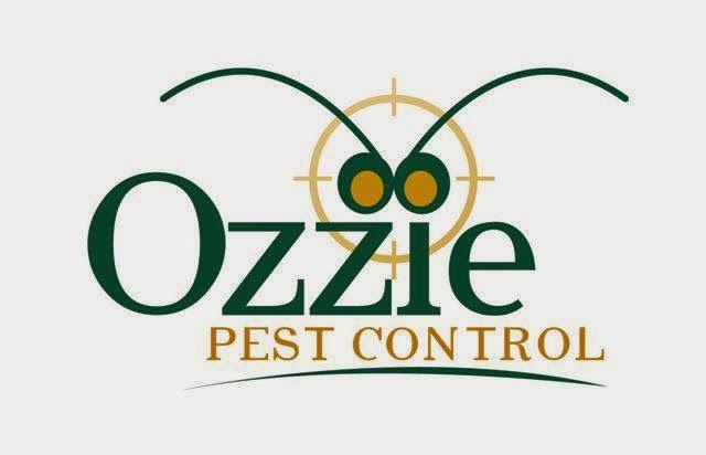 Ozzie Pest Control | home goods store | 4 Darlington Ct, Flinders View QLD 4305, Australia | 0732888012 OR +61 7 3288 8012