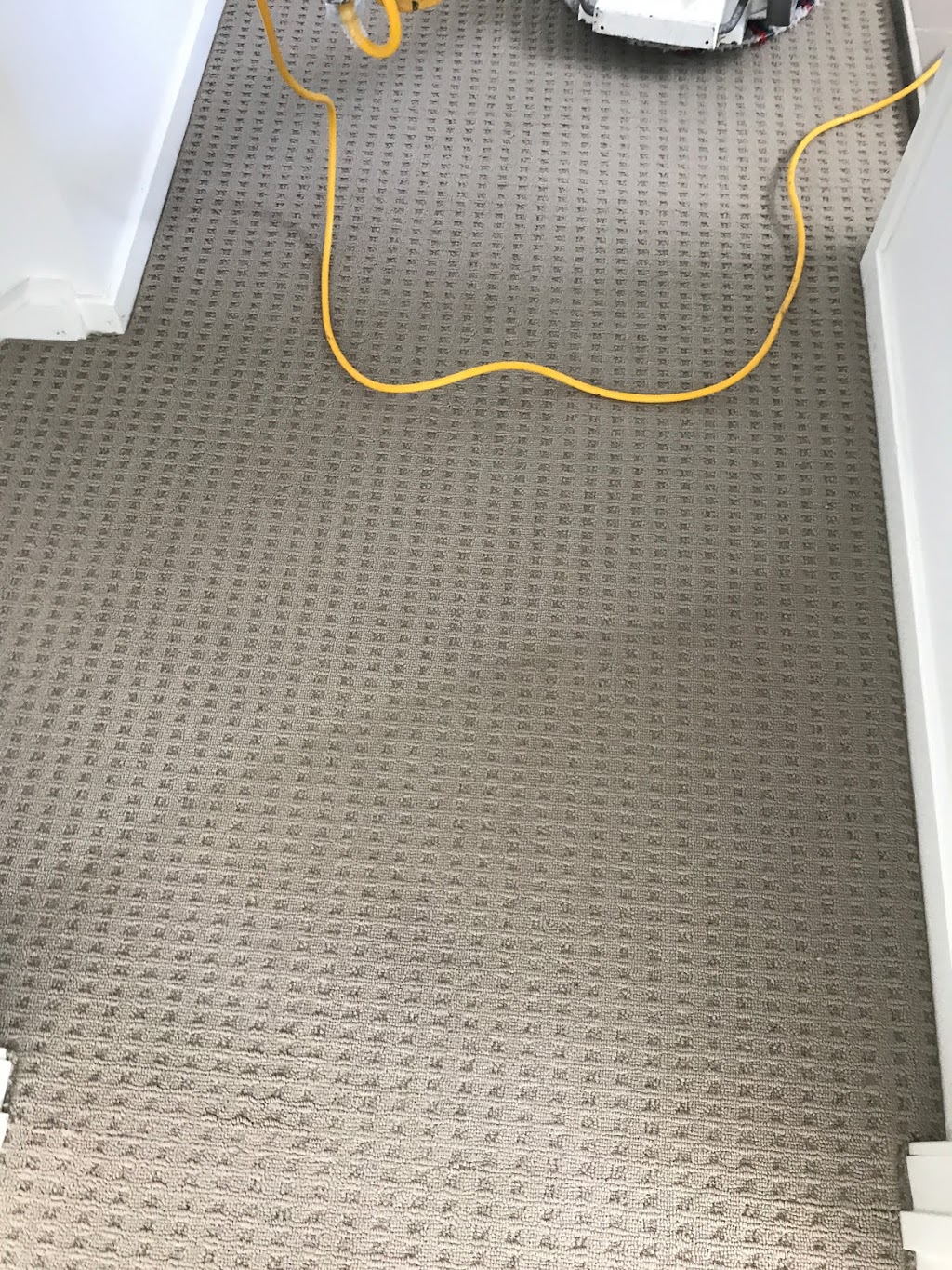 Ultraclean Carpets Tiles and Pest Control | laundry | Walnut Cl, Hamlyn Terrace NSW 2259, Australia | 0432209751 OR +61 432 209 751