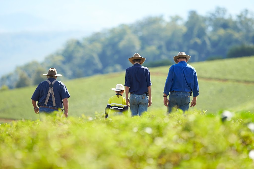 Wickham Farms Killarney | 25 Ivy St, Killarney QLD 4373, Australia | Phone: (07) 4664 1455