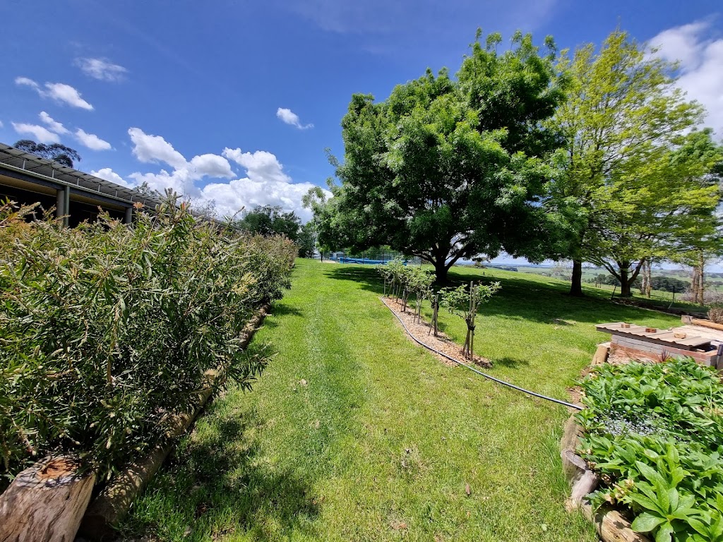 Orangewood Holiday House NSW | 555 Tallwood Rd, Forest Reefs NSW 2798, Australia | Phone: 0447 432 236