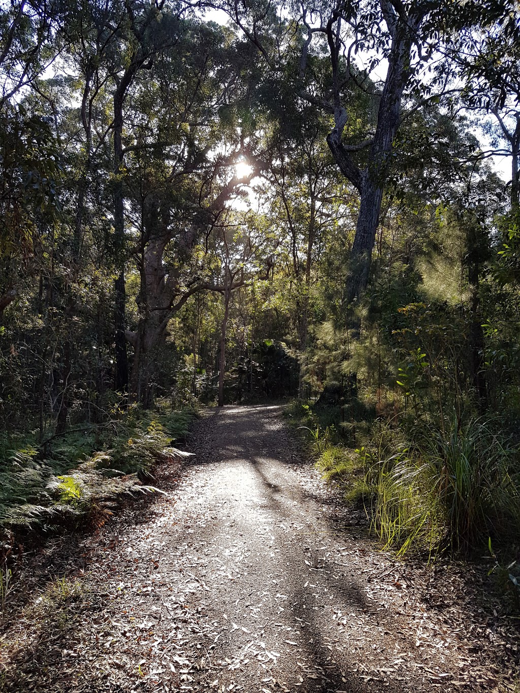 Ben Bennett Botanical Park | park | Caloundra QLD 4551, Australia