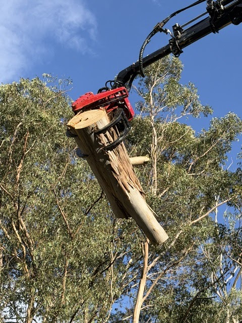 Canopy Lift contracting | 210 Railway Parade, Balmoral NSW 2571, Australia | Phone: 0458 401 601