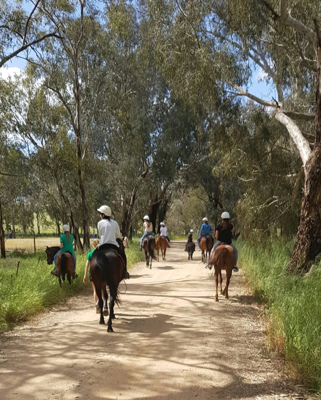 Bits & Boots Pony Rides |  | 263 Quartz Hill Rd, Jindera NSW 2642, Australia | 0408864234 OR +61 408 864 234