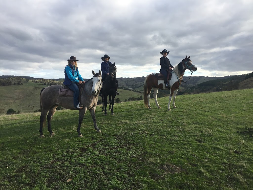 Trail Riders of Victoria Inc | 1773 Broadford-Flowerdale Rd, Strath Creek VIC 3658, Australia | Phone: 0419 353 088