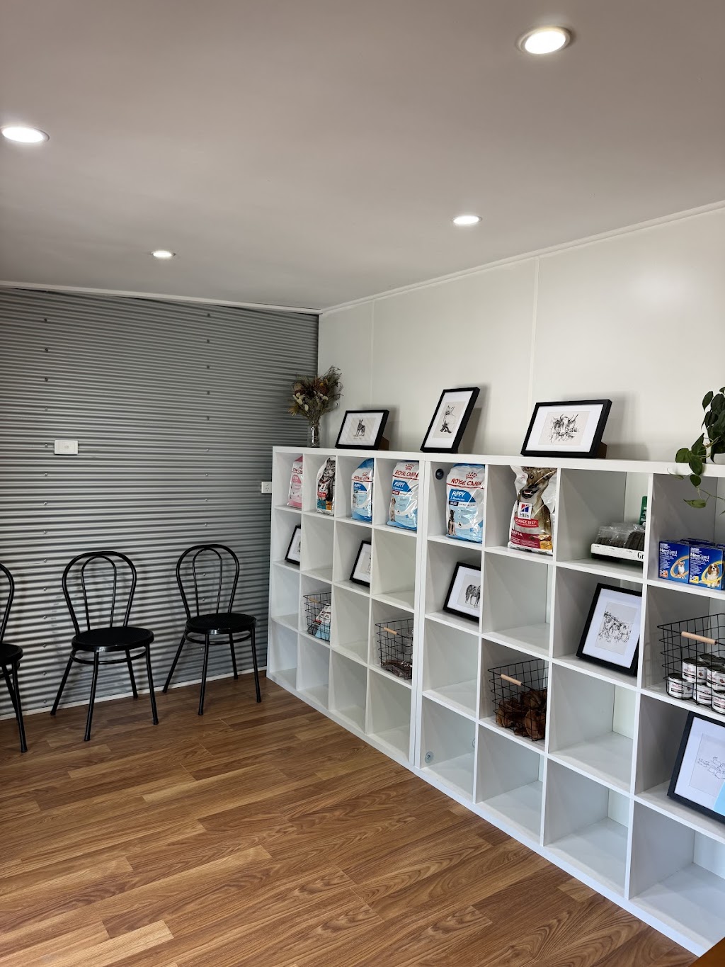 Cameron Veterinary Services - Mount Pleasant | Shop B/67 Melrose St, Mount Pleasant SA 5235, Australia | Phone: (08) 8318 1801